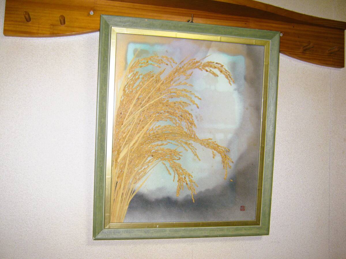 額入り 押し花 アート『稲穂』インテリア ヴィンテージ 額装 お洒落 コシヒカリ ビンテージ レトロ 手作り 大型 押花 おしゃれ 壁掛け拍卖