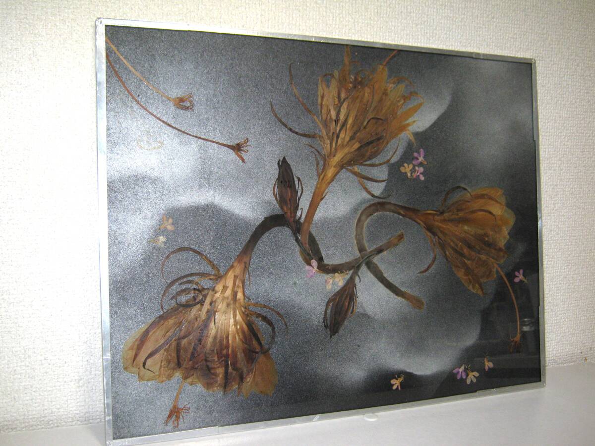 【フラワーアート 押し花】灰色 セピア色 グレー インテリア レトロ 幻想的 手作り モノトーン モノクローム ヴィンテージ ビンテージ 幻影拍卖