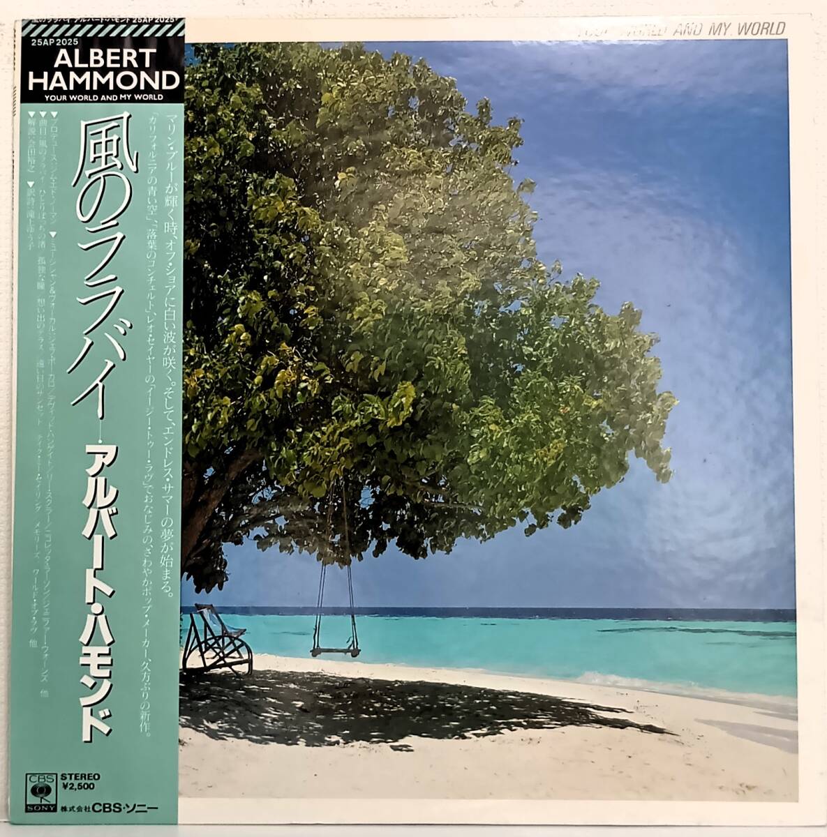 LP(帯付 25AP 2025 '81年盤 Folk)アルバート・ハモンド(Albert Hammond)/Your World And My World【同梱可能6枚まで】070616拍卖
