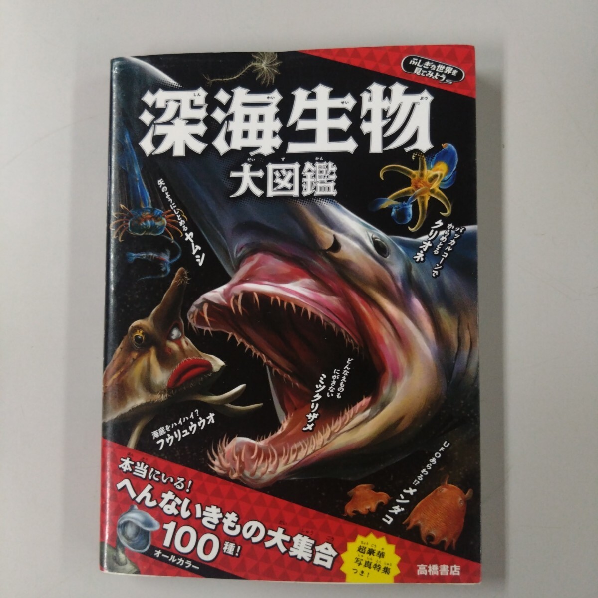 深海生物 大図鑑 オールカラー 不思議の世界を見てみよう 高橋書店 図鑑 知育 生物学拍卖