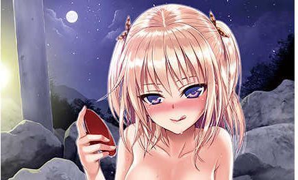 Toranoana Girls Collection 40010試作型 vol.3 B2タペストリー /未開封拍卖