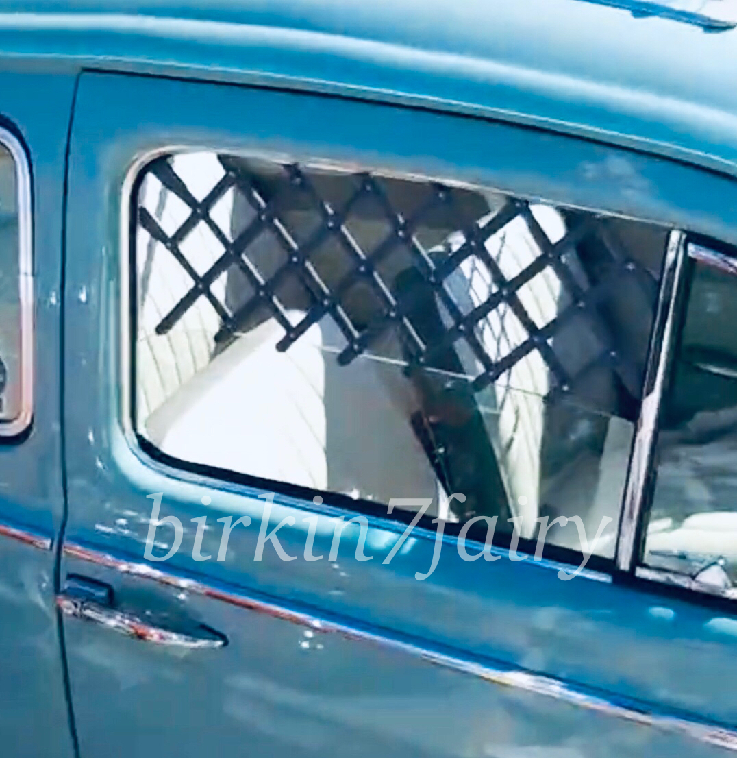 フレッシュエアーメッシュグリル / ウィンドウ フェンス ガード(空冷VW ビートル ワーゲン タイプ2 タイプ3 旧車 ビンテージ 窓 ウインド拍卖