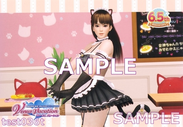 DEAD OR ALIVE Xtreme Venus Vacation 6.5周年 きまぐれニャンメイド ブロマイド レイファン 未使用拍卖