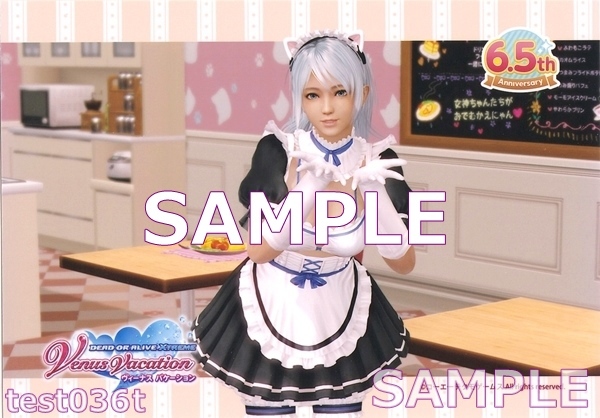 DEAD OR ALIVE Xtreme Venus Vacation 6.5周年 きまぐれニャンメイド ブロマイド パティ 未使用拍卖
