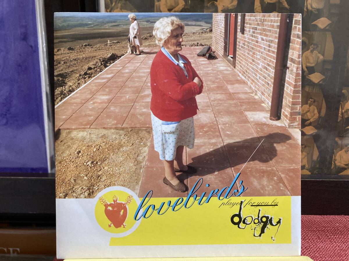 【7インチ】DODGY ☆ Lovebirds c/w Big Brown Moon 93年 UK A&M Records 輸入盤 アナログ ブリットポップ 名曲 Ian Broudie 良品拍卖