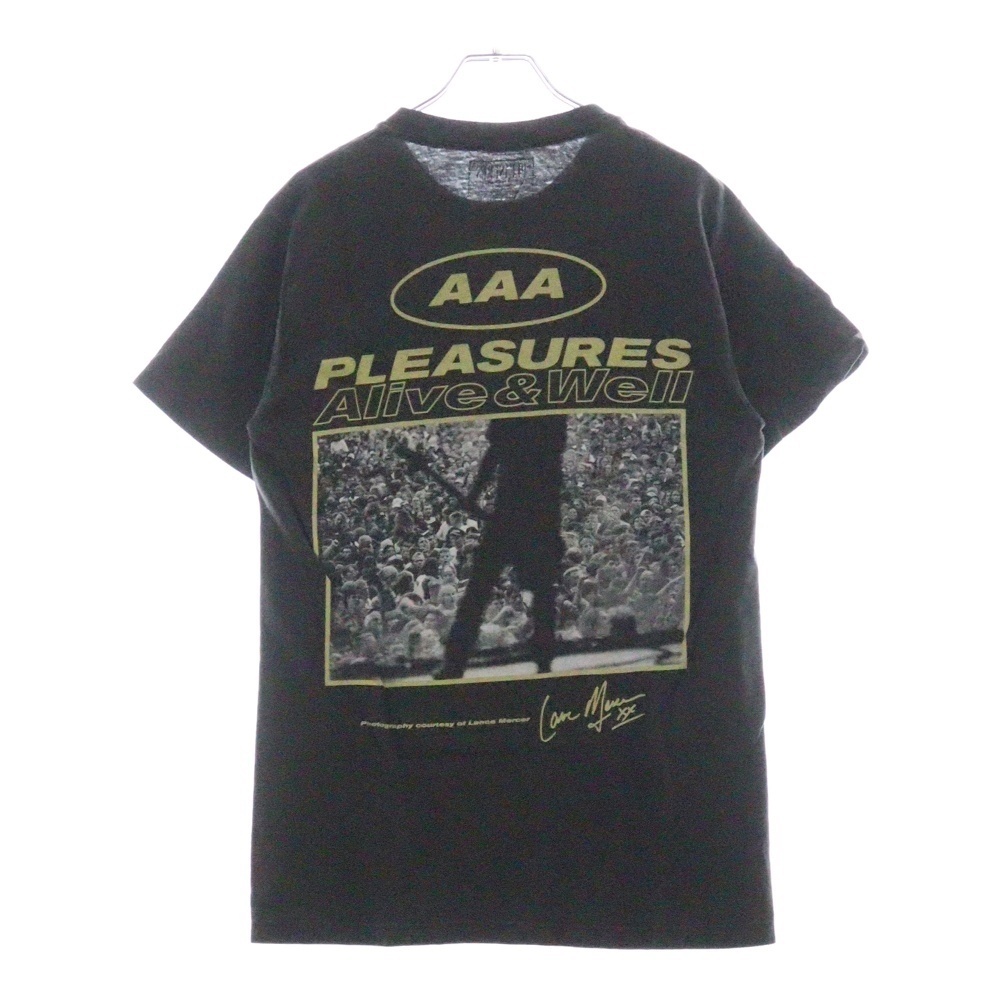PLEASURES プレジャーズ グラフィックプロント クルーネック 半袖Tシャツ カットソー グレー拍卖