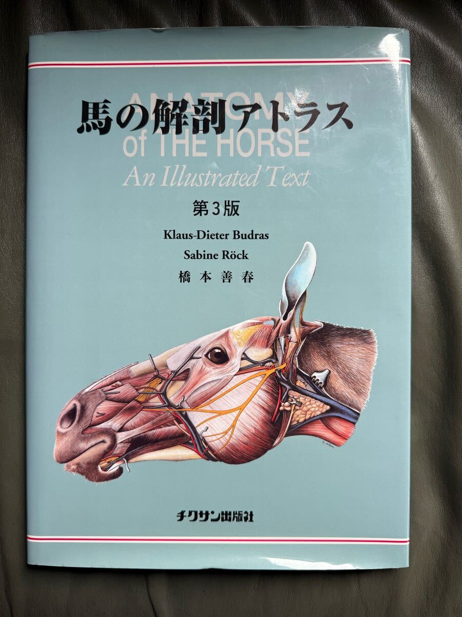 【希少本】馬の解剖アトラス 第3版 橋本善春 チクサン出版社◆獣医学 解剖学 図譜◆拍卖
