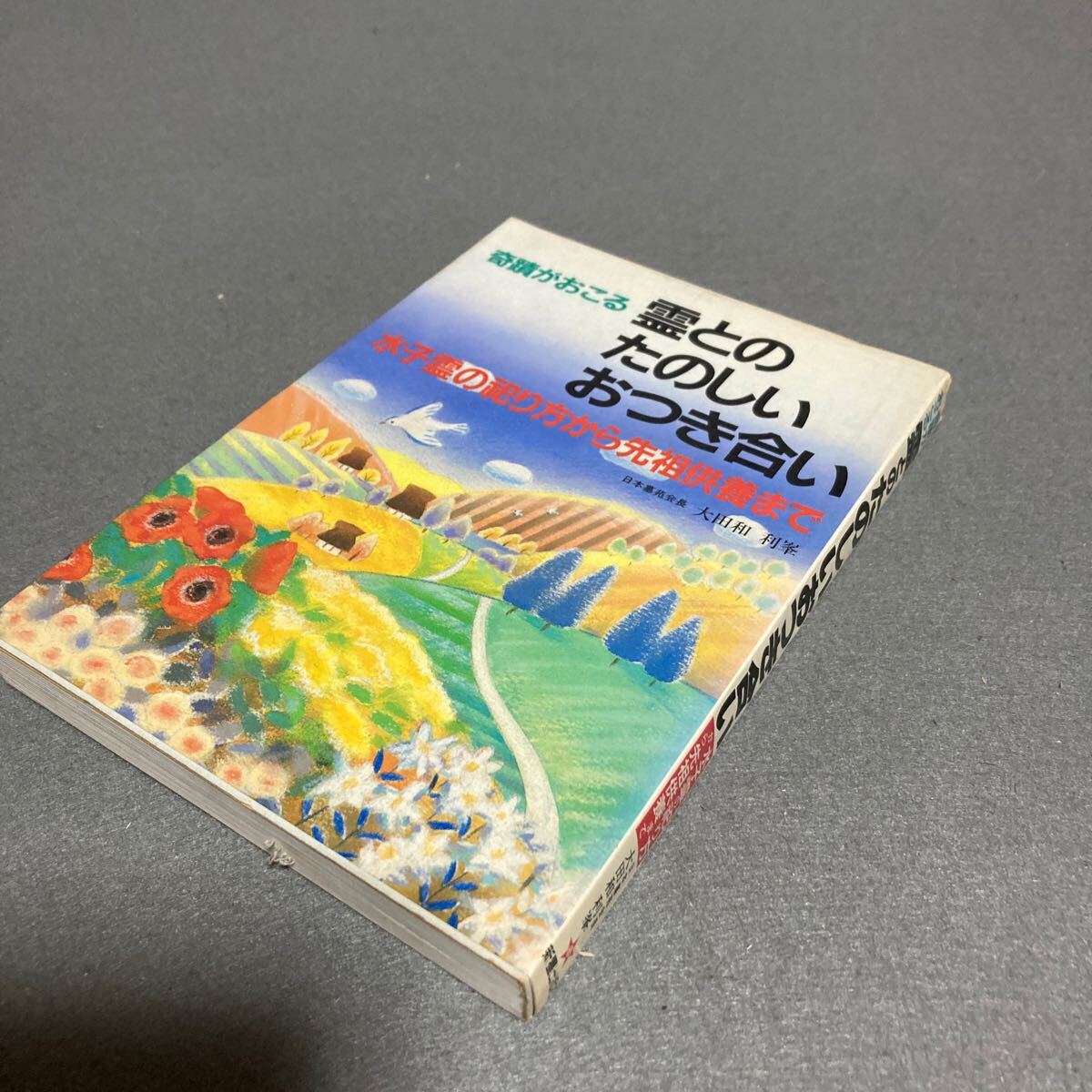 奇蹟がおこる霊とのたのしいおつき合い 水子霊の祀り方から先祖供養まで 大和田利峯 1984年 初版発行拍卖