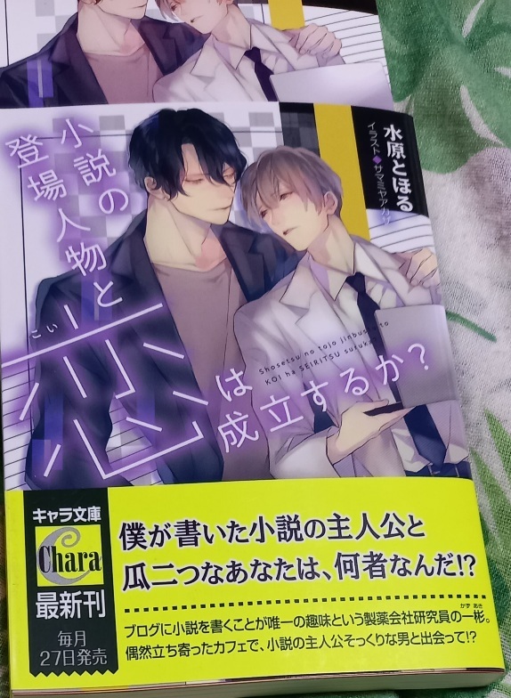 IC+帯付「小説の登場人物と恋は成立するか?」水原とほる/サマミヤアカザ拍卖
