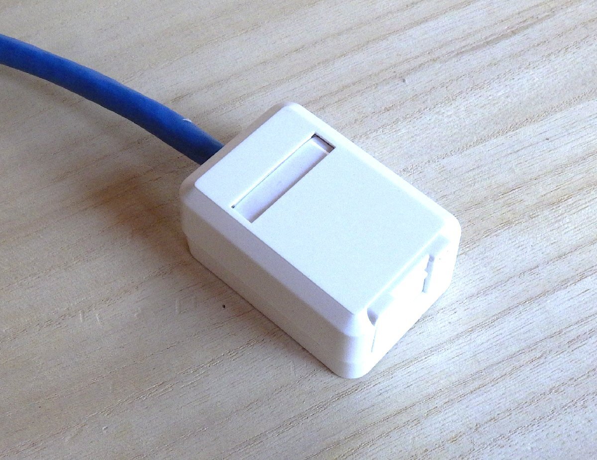 CAT.6A 露出タイプローゼット シャッター付き 110打ち込み 180度拍卖