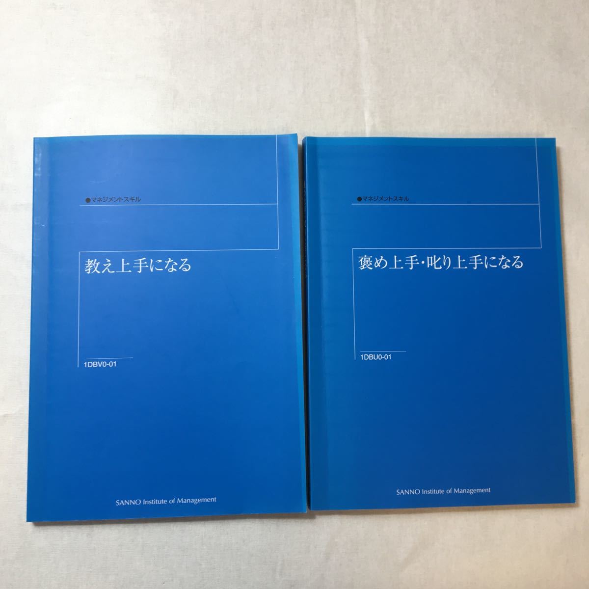 zaa-370♪産業能率大学マネジメントスキル『教え上手になる』『褒め上手・叱り上手になる』2冊セット拍卖