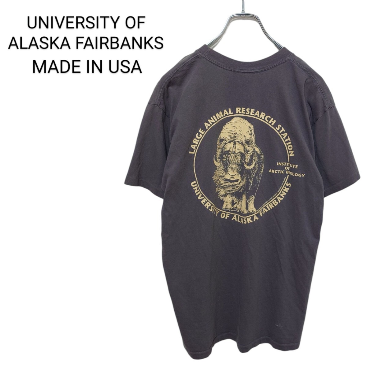 80s USA製 アラスカ大学ジャコウウシ シングルステッチTシャツ A3797拍卖