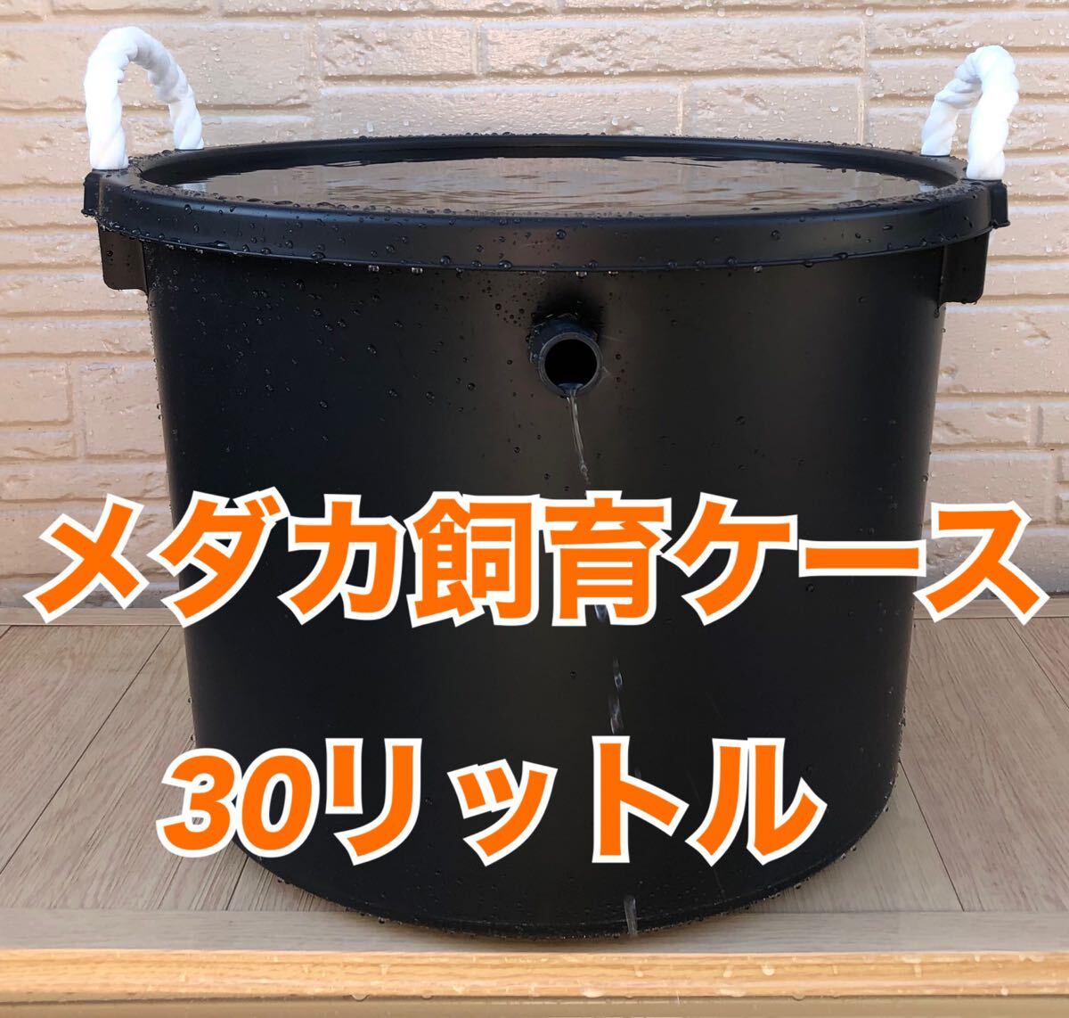 めだか飼育ケース 30リットル 深型拍卖