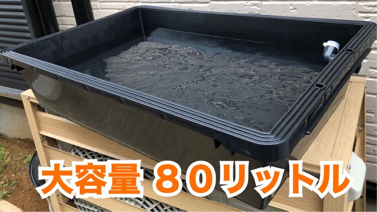 メダカ飼育ケース 80リットル 大容量拍卖