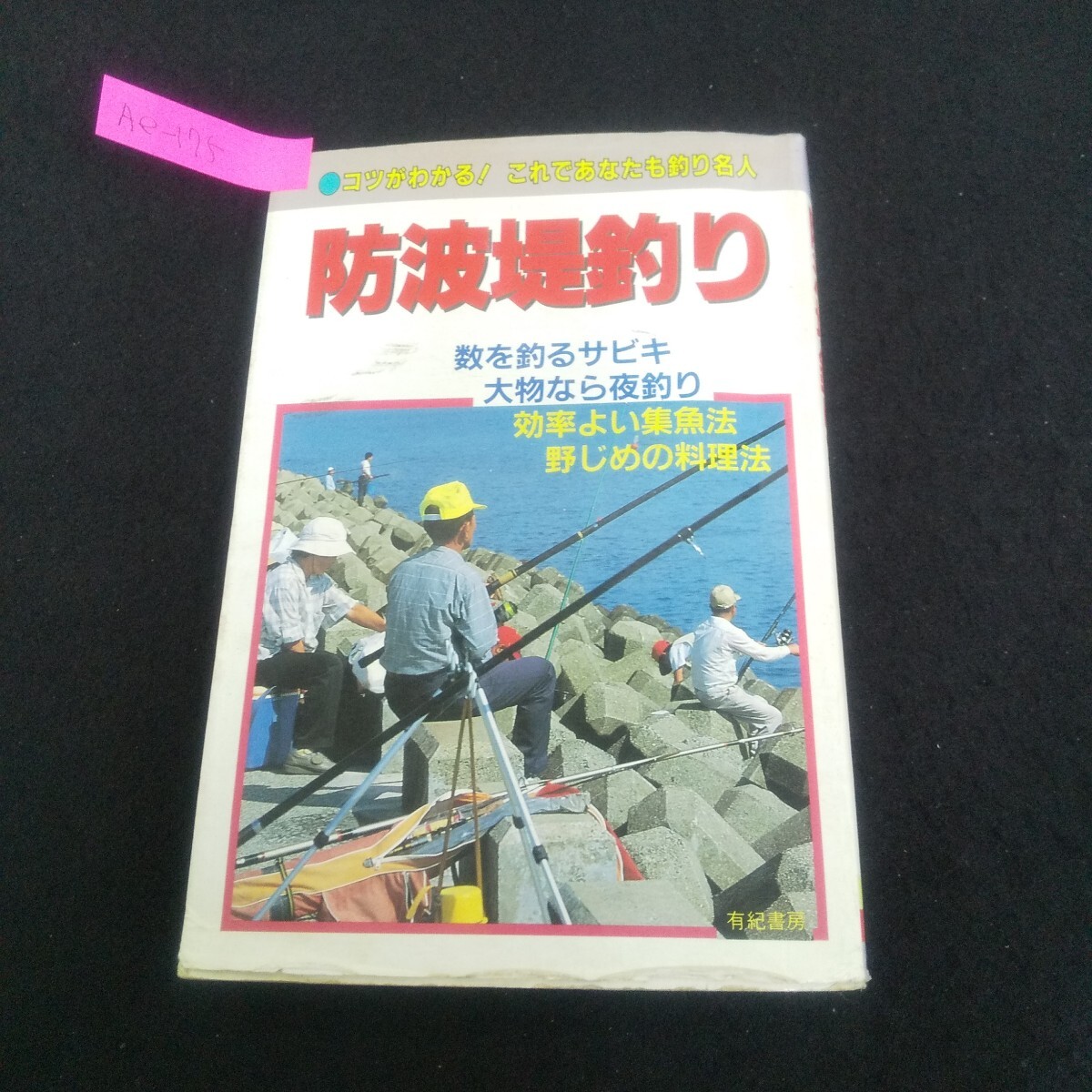 Ae-175/防波堤釣り 著者/高橋英輔 1998年12月25日刊 有紀書房 人気抜群クロダイ釣り カレイ狙いの投げ釣り/L4/70619拍卖
