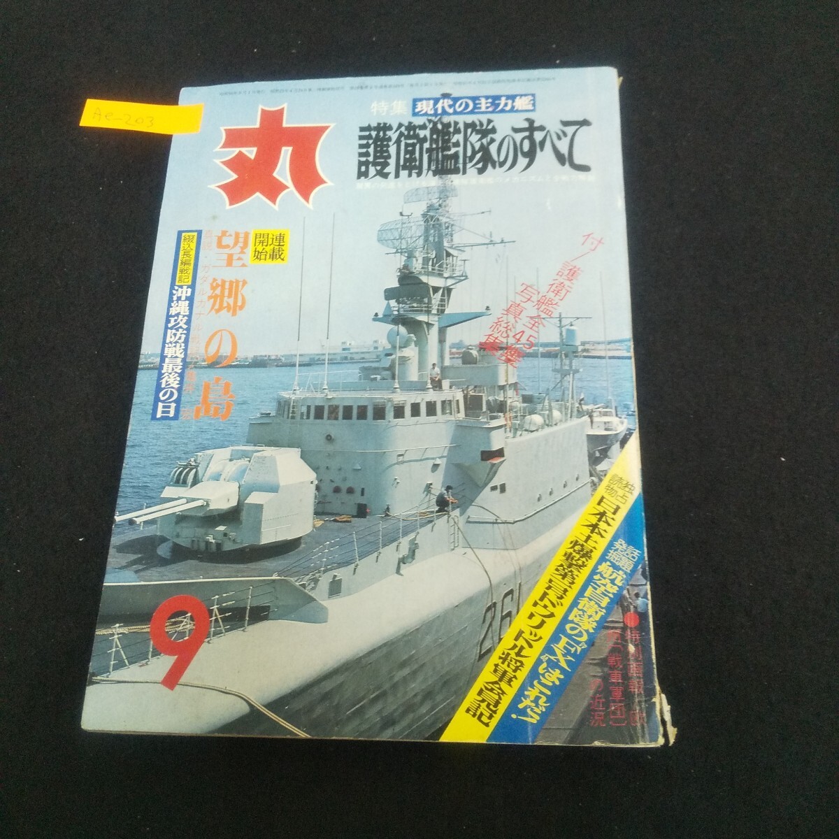 Ae-203/丸 1975年新涼9月特別号 望郷の島 護衛艦隊のすべて 航空自衛隊のFXはこれだ!/L4/70623拍卖