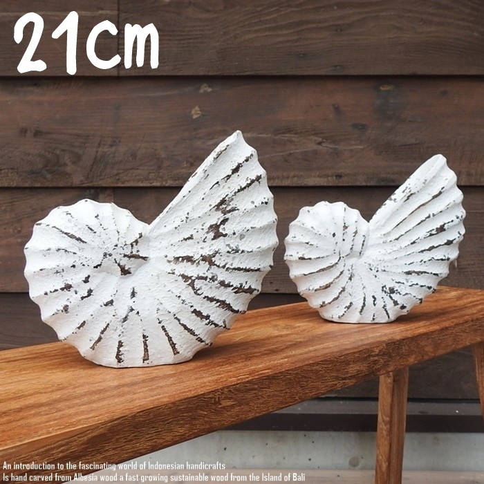 木製 オブジェ オウムガイ Lサイズ 21cm 貝 ホワイトウォッシュ 木彫りのアート ハワイアン雑貨 玄関 ホテル 装飾品拍卖