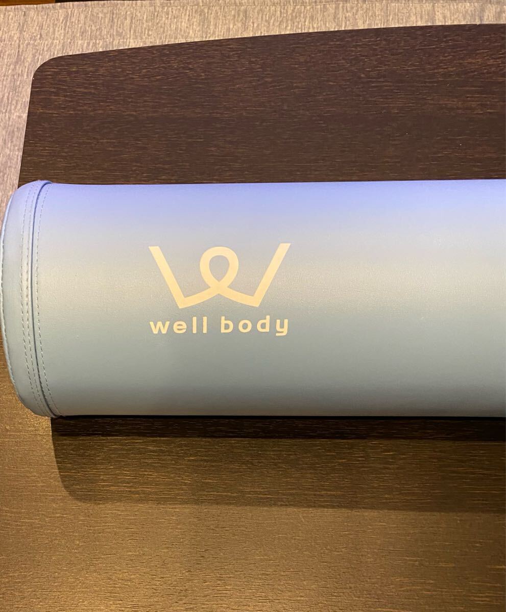 アルインコ well body エクササイズボール拍卖