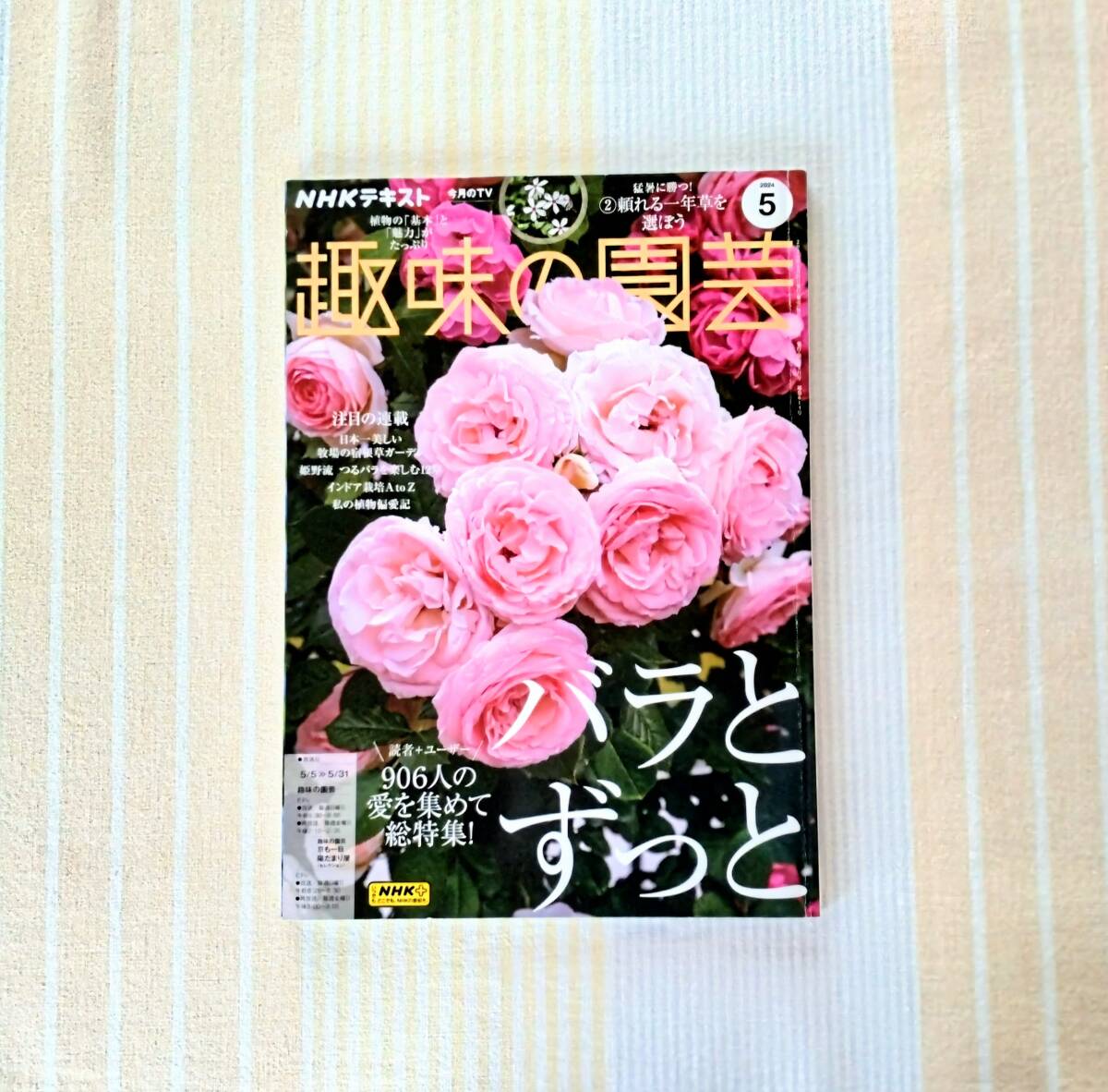 趣味の園芸 2024年5月号●バラとずっと●NHKテキスト拍卖