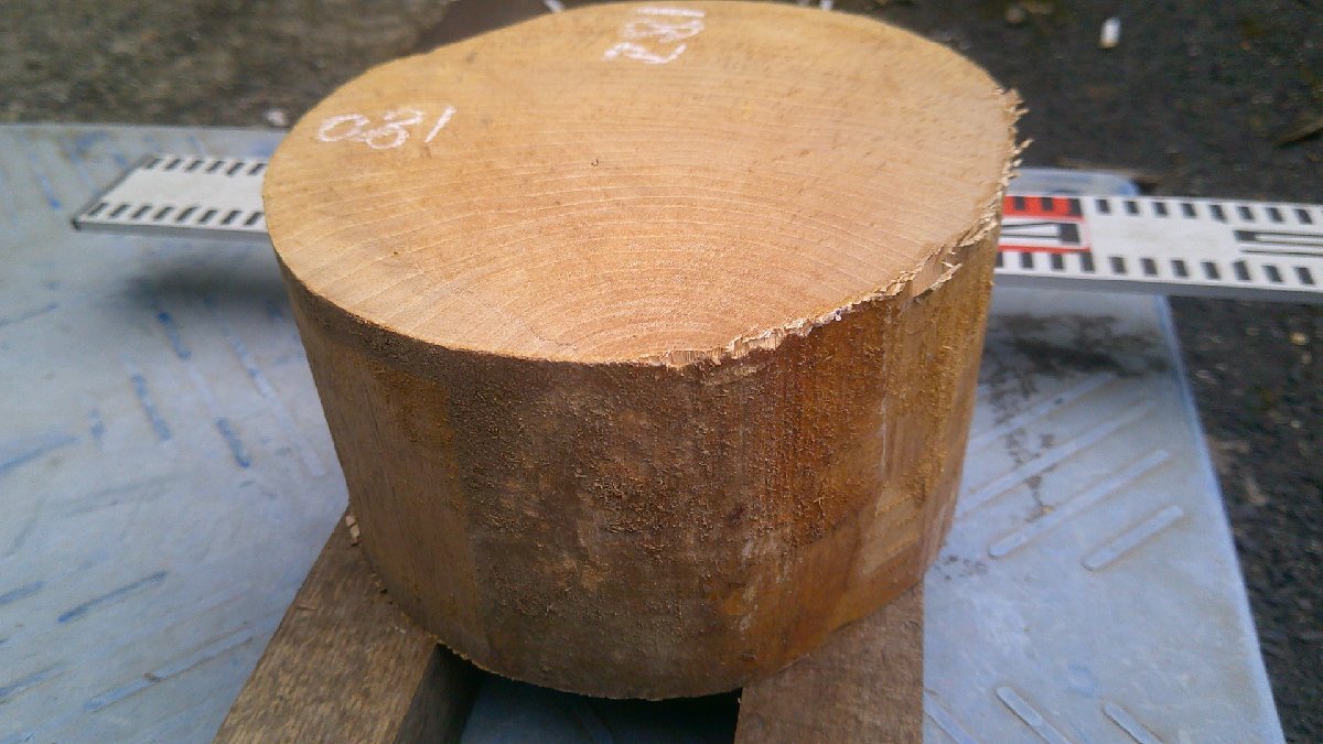 18-120 栃(トチ)縦木の乾燥丸材(6寸)・・・丸盆・皿・菓子器・鉢・ロクロ・挽きもの拍卖