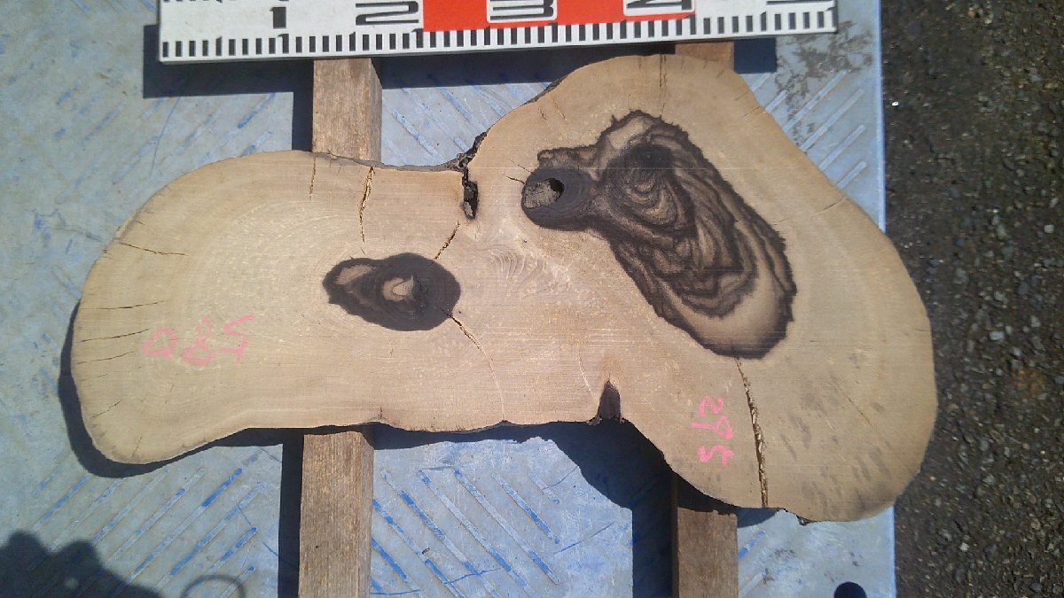 18-148 黒柿(カキ)の輪切り乾燥材・・・・敷板・花台・ペン・万年筆・縞柿・孔雀杢・オブジェ・DIY拍卖