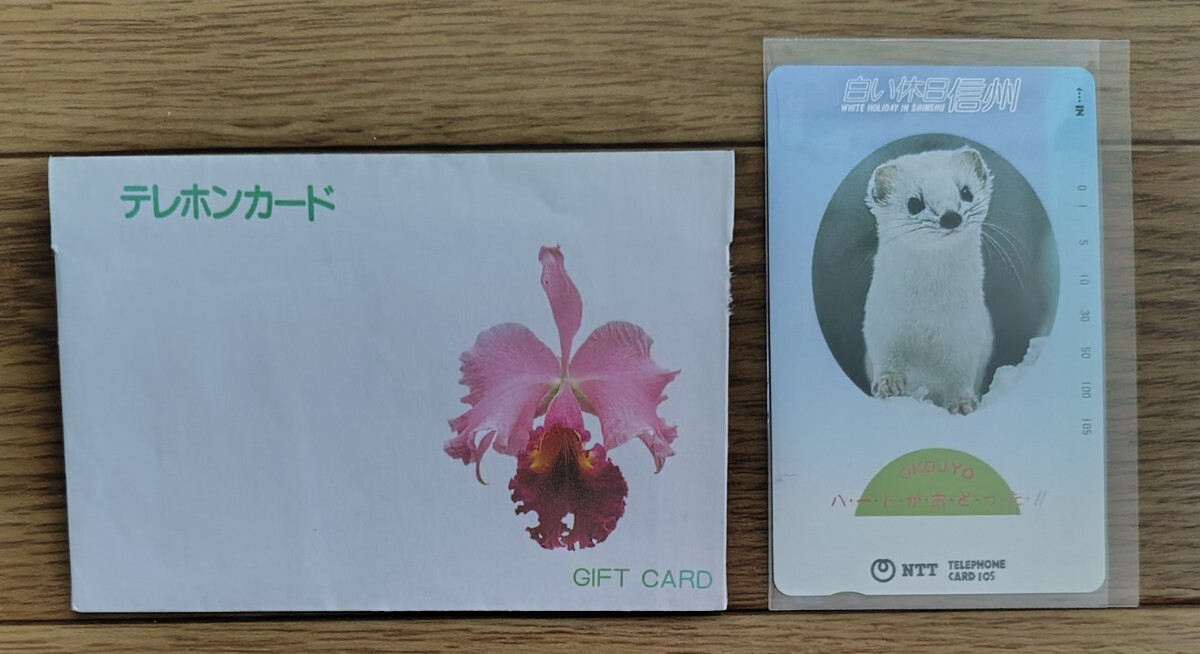 テレホンカード 白い休日信州 オコジョ テレカ 未使用拍卖