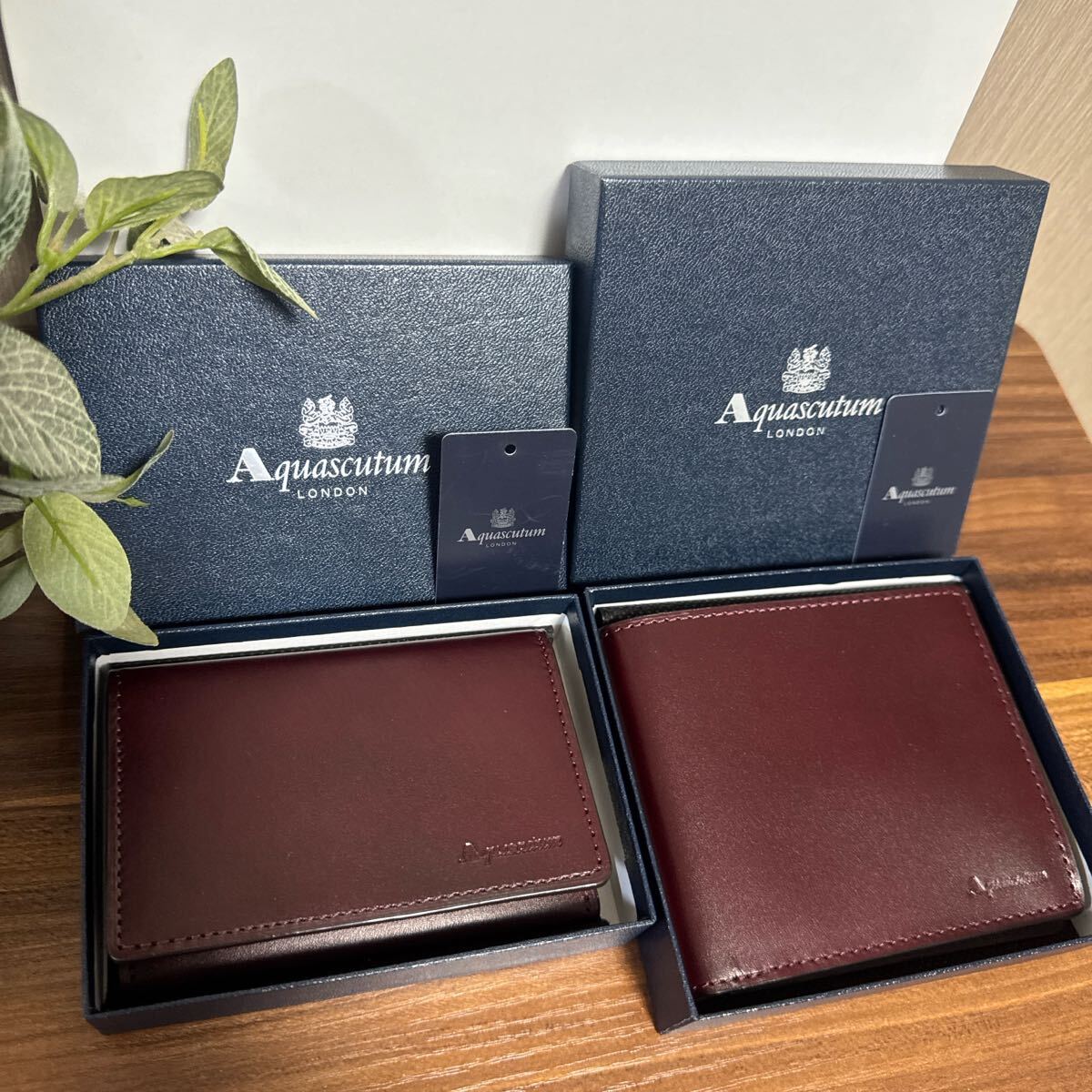 アクアスキュータム 2点セット 2つ折り財布 名刺入れ ワインカラー拍卖