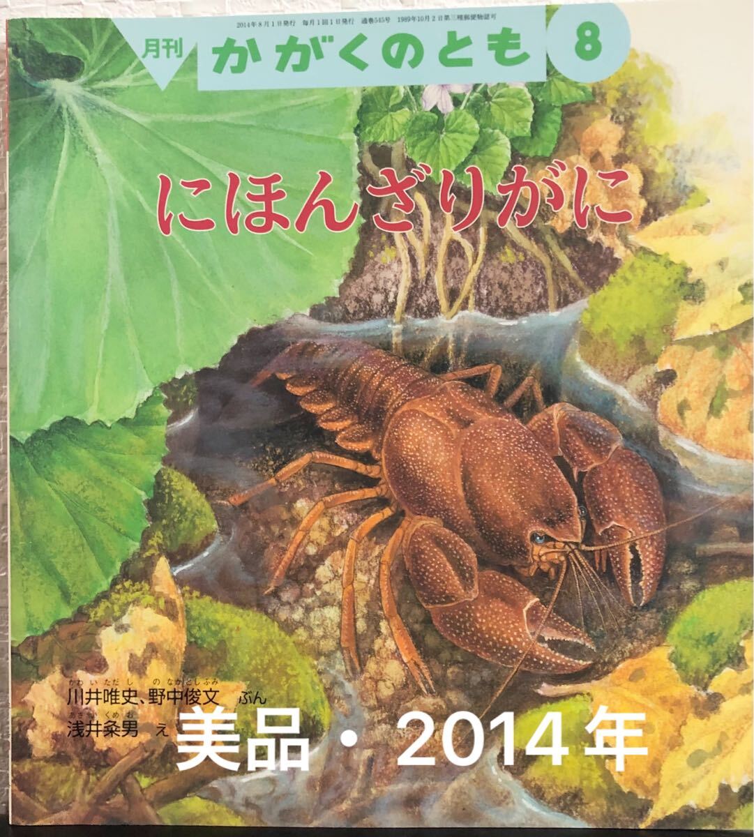 ◆美品◆ にほんざりがに かがくのとも 川井唯史 野中俊文 浅井粂男 福音館 2014年 拍卖