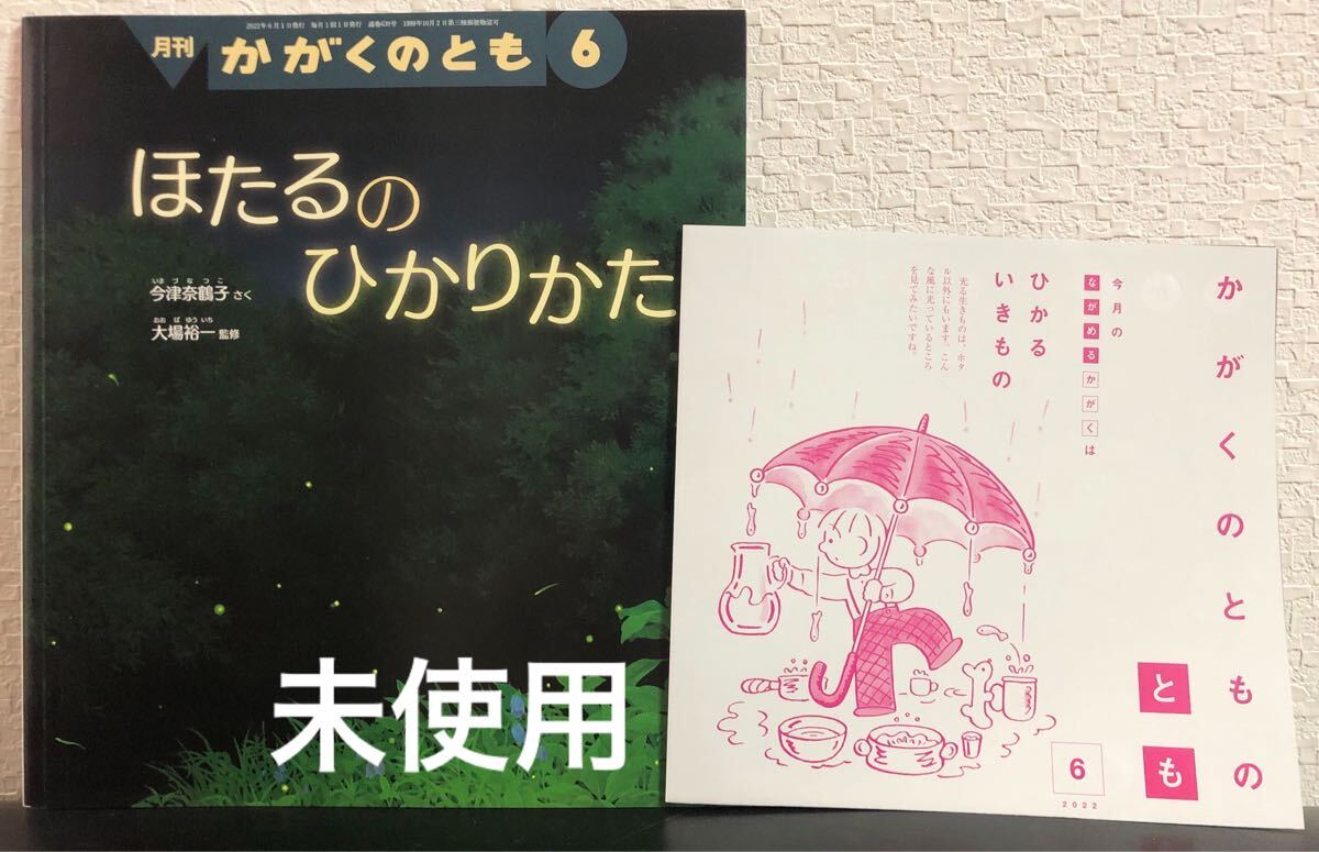 ◆ 未使用◆ ほたるのひかりかた 折り込み付録付き かがくのとも 福音館 2022年 ホタル 昆虫 今津奈鶴子 大場裕一拍卖