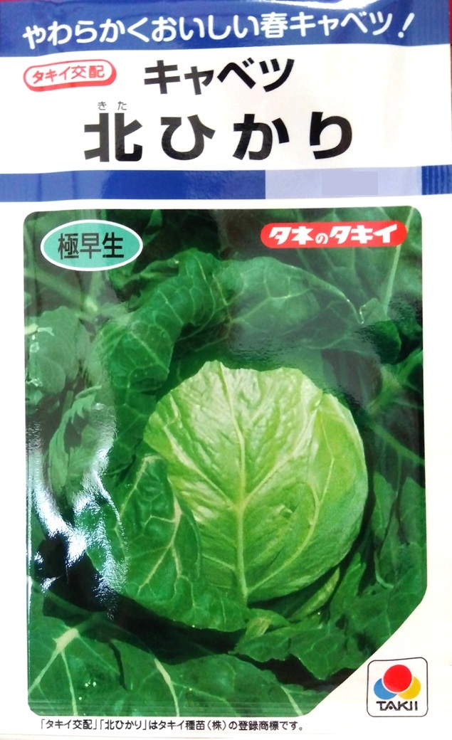 キャベツ 北ひかり 種子18粒 お試し量(タキイ交配)拍卖