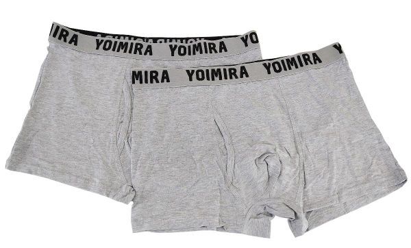 SI1769-2◆ 新品 メンズ ボクサーパンツ ウエストロゴ有り 前開き フロントマチ付き 2枚組 XLサイズ グレー 送料 450円拍卖