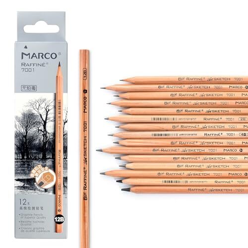 Marco 7001 木製鉛筆 デッサン用エンピツ プロフェッショナル スケッチ用木製鉛筆 六角軸 (7001-12B拍卖