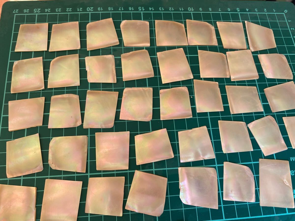 夜光貝 スライス 10枚セット 螺鈿細工 ハンドメイド ハンドクラフト 素材拍卖