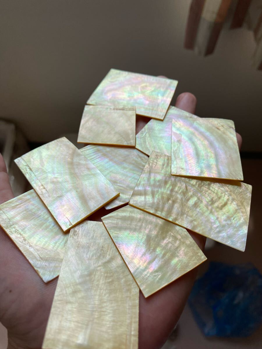 白蝶貝 スライス 10枚セット 厚み1,2mm前後 螺鈿細工 ハンドメイド 素材拍卖