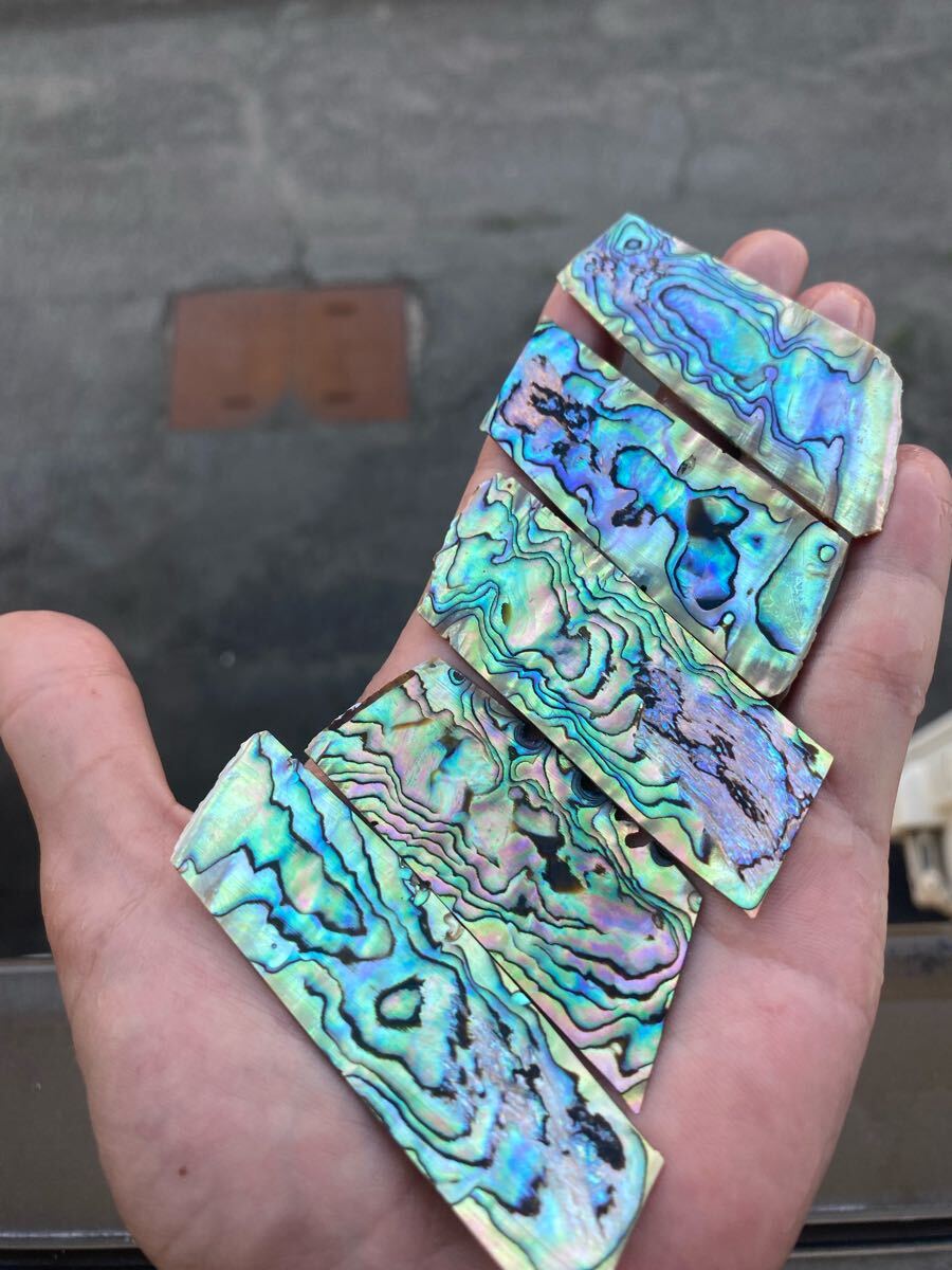 アワビ貝 アバロン貝 5枚セット 螺鈿細工 ハンドメイド 素材拍卖