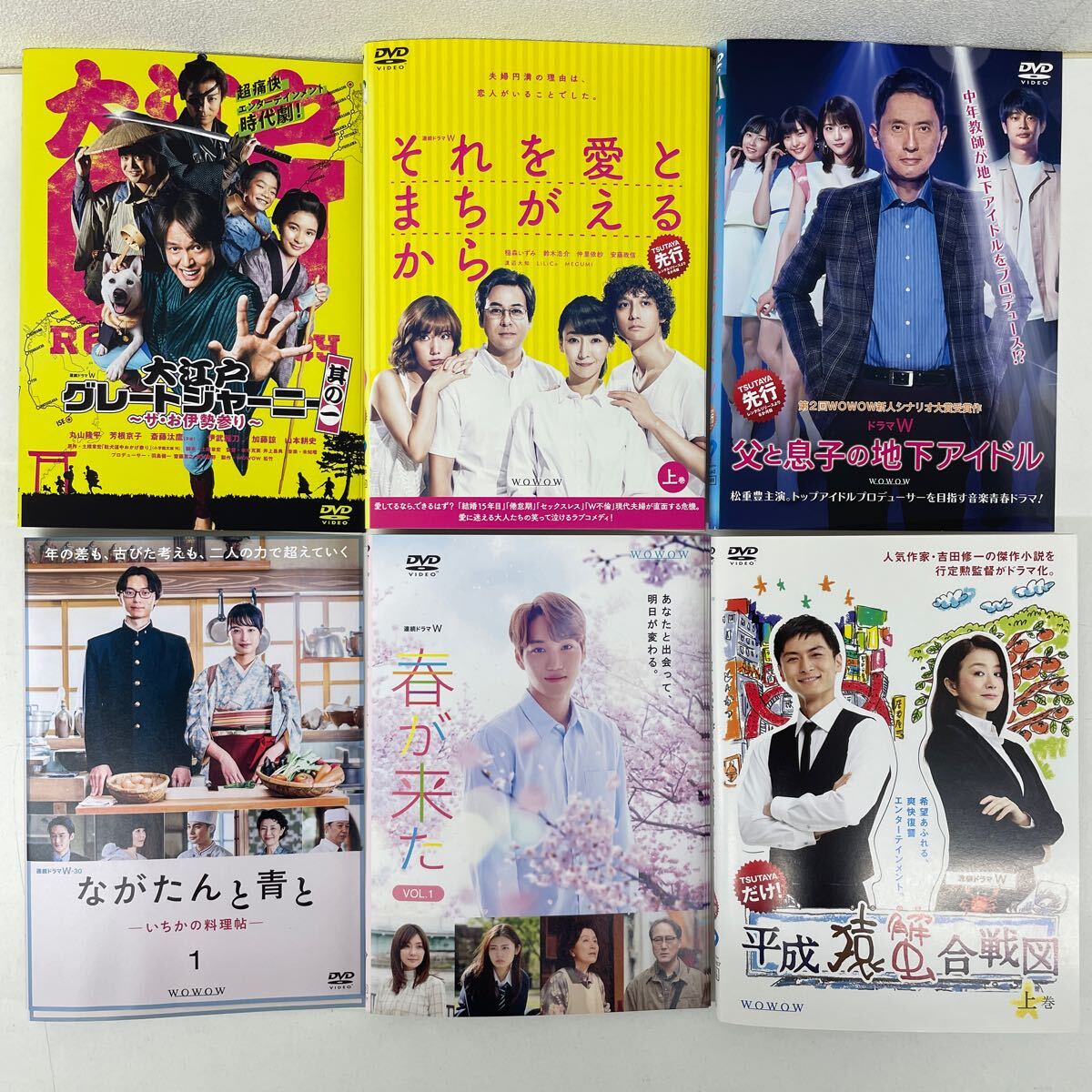 【WOWOW ドラマW】6タイトル計15巻セット 大江戸グレートジャーニー ながたんと青と 春が来た 平成猿蟹合戦図 他 レンタル落ち 中古拍卖