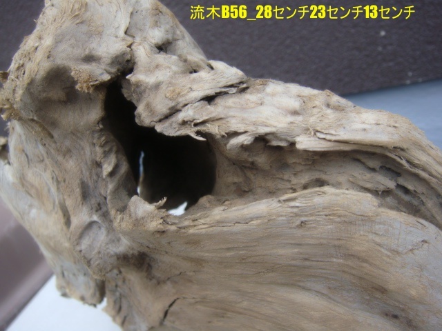 流木B56_28センチ23センチ13センチ拍卖