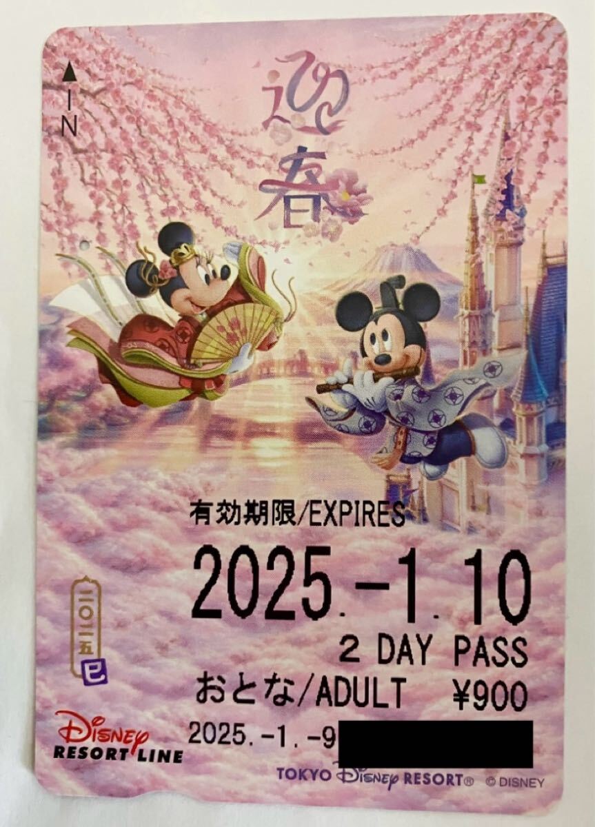使用済み ディズニーリゾートライン フリーきっぷ 切符 正月 ニューイヤー2025 迎春 ミッキー ミニー ディズニーランド ディズニーシー TDR拍卖
