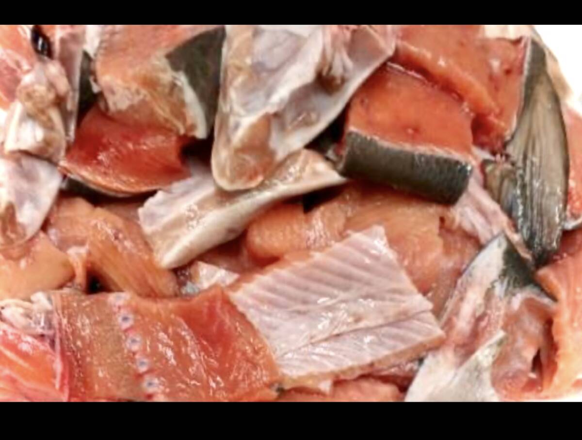 【16kg】鮮度抜群!北海道産 秋鮭端材 業務用 16kg 鮭あら汁 鮭鍋 などアレンジしてください◎拍卖