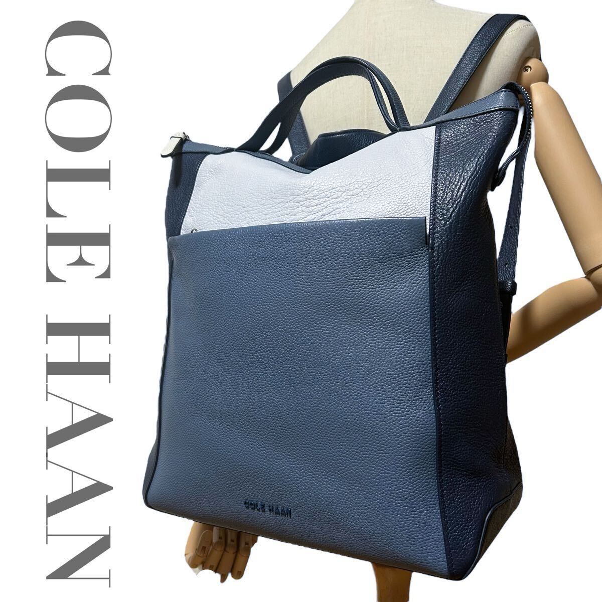 外観美品 コールハーン COLE HAAN リュックサック バックパック デイパック A4 通勤 通学 レディース メンズ 紺青白拍卖