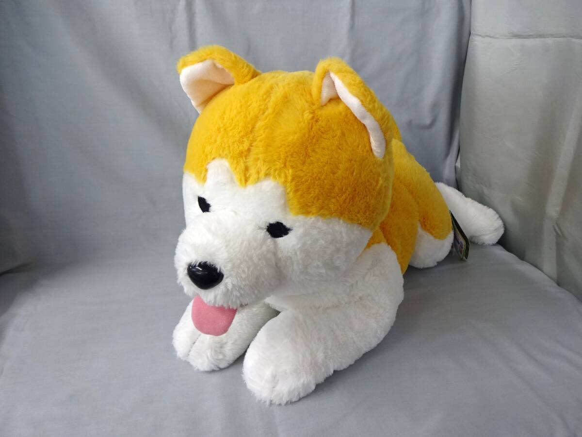 【紙タグ付き】秋田犬のおこめちゃん ウルトラBIG ぬいぐるみ 伏せ 全長:約59cm 高さ:約30cm 幅:約21cm AMUFUN プライズ品拍卖