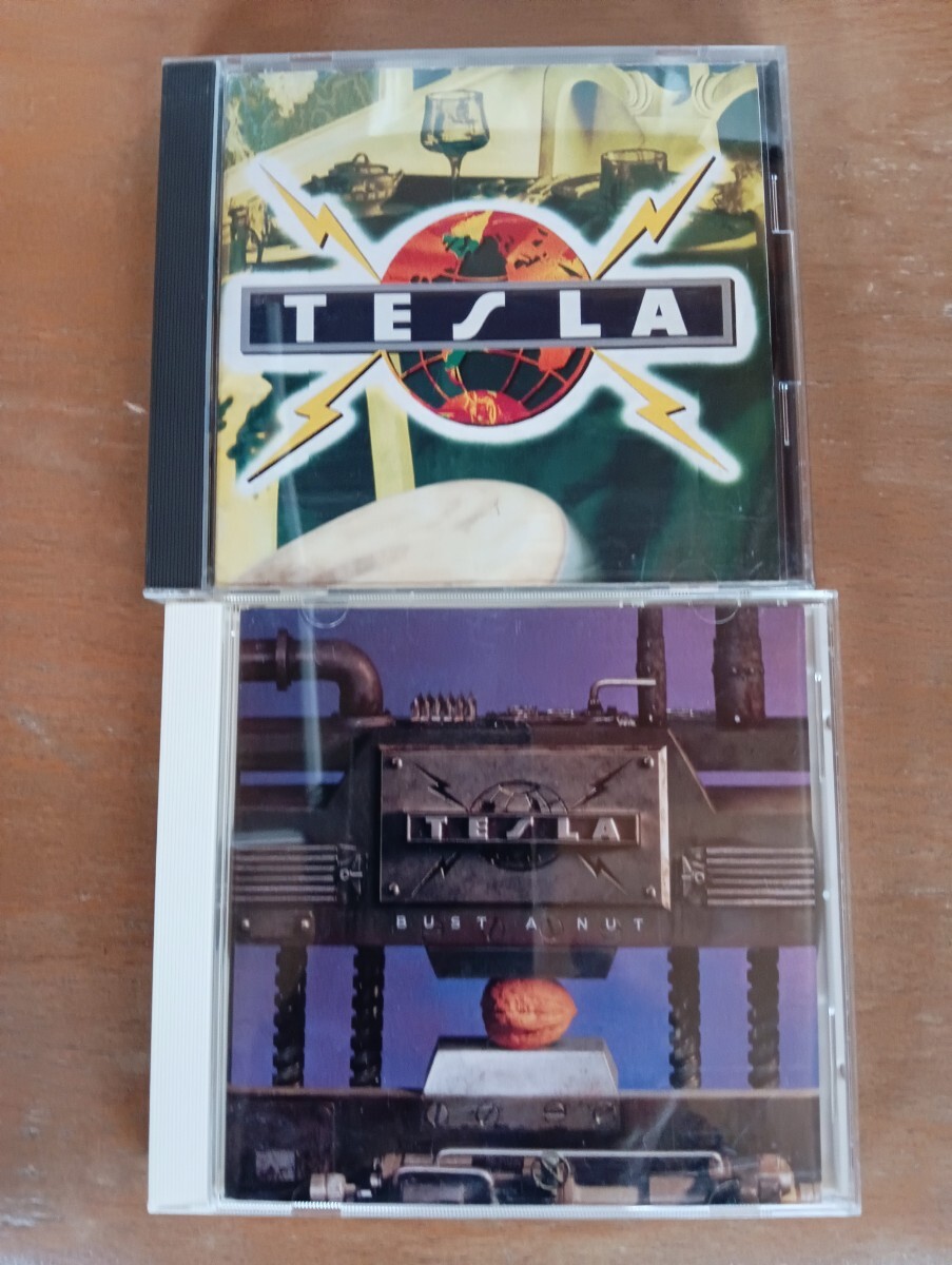 バストアナット/テスラ拍卖