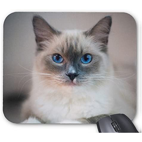 青い目の猫のマウスパッド:フォトパッド(世界の猫シリーズ)拍卖