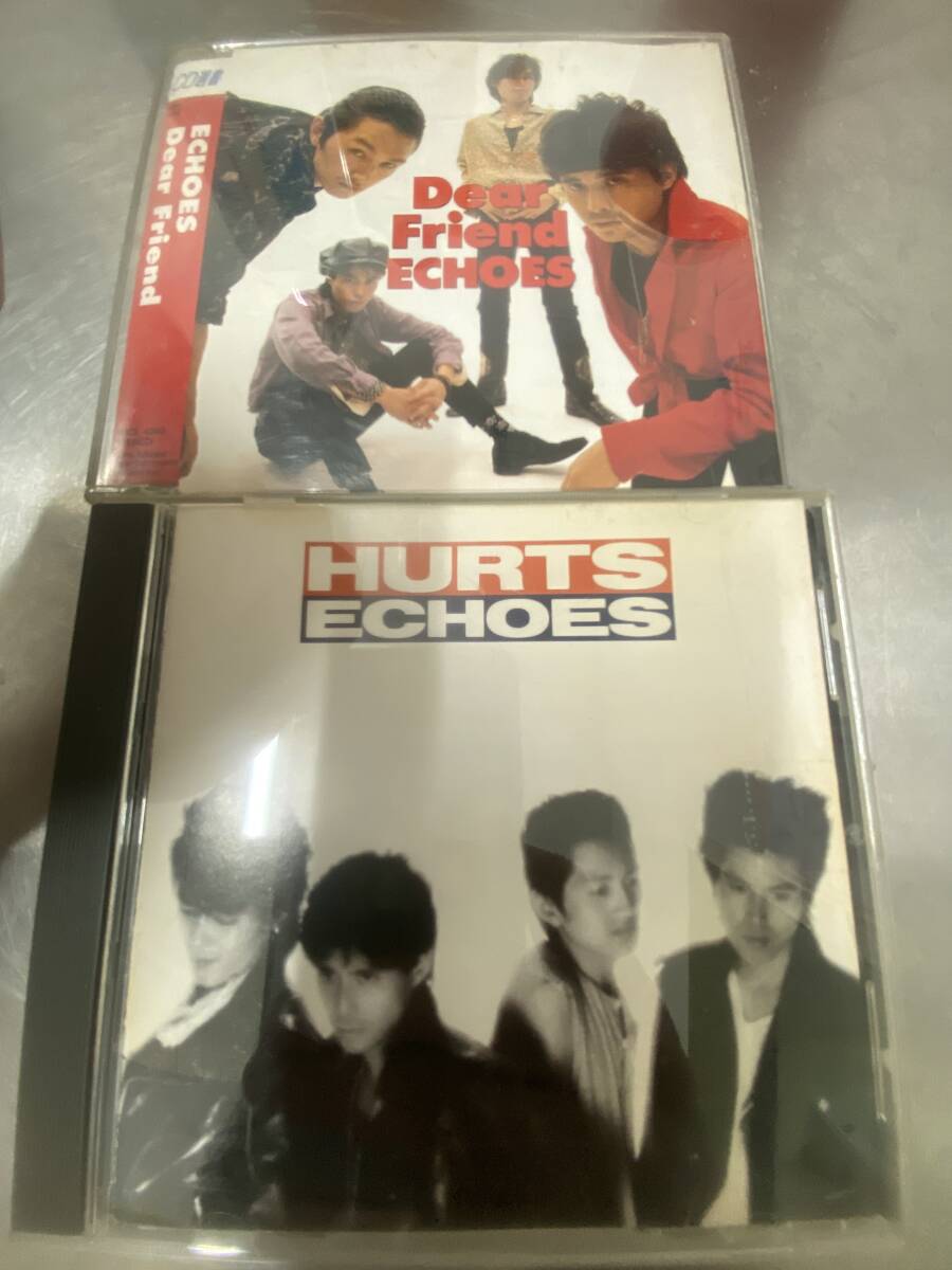 ECHOES (エコーズ)アルバム CD 計2枚セット(辻仁成)拍卖