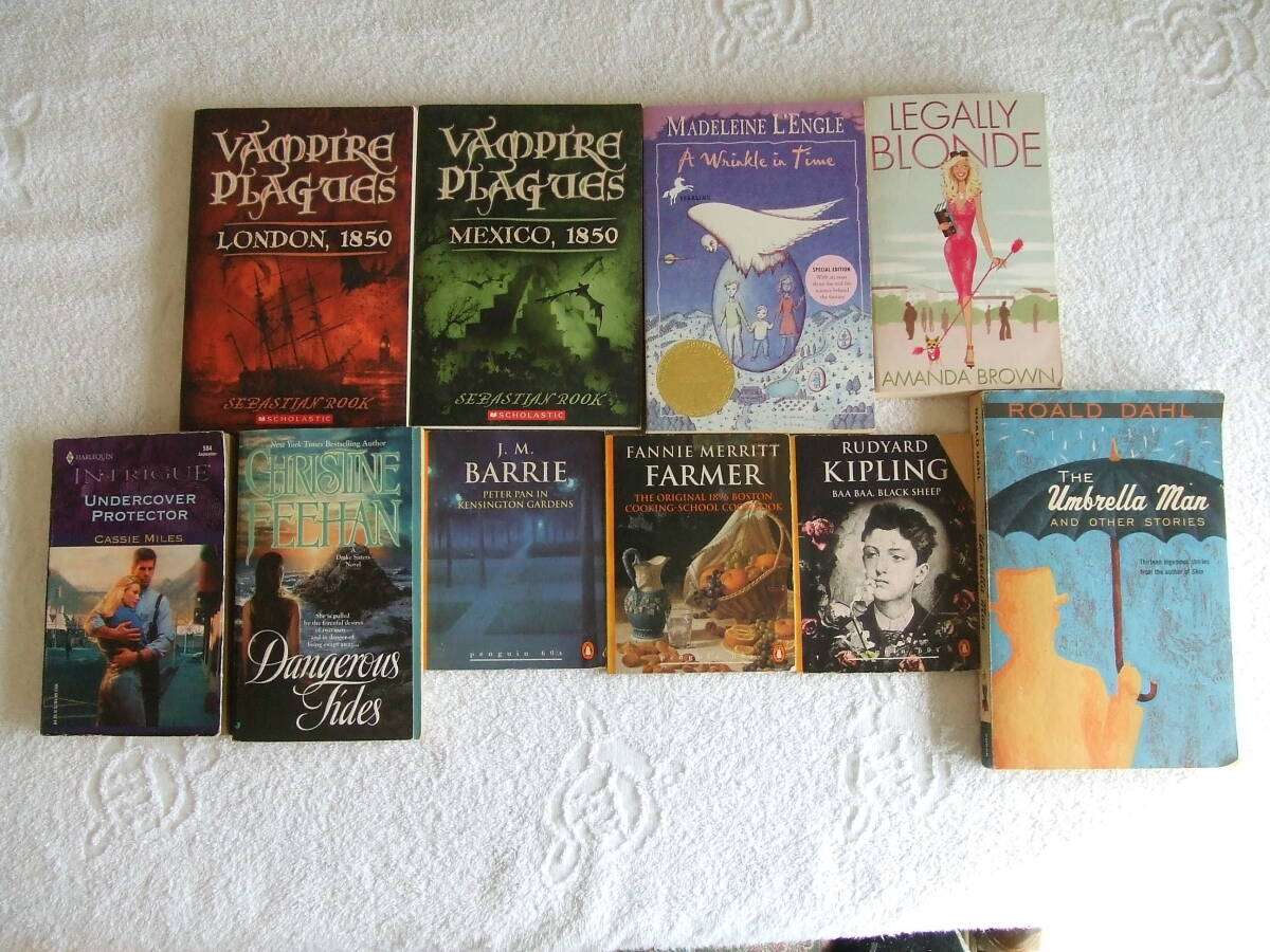 アイカ美品 ★★★アメリカ洋書×10冊★★★ 多読用まとめ売り 未読品/ ◆◆送料無料◆◆ ペーパーバック・リーディング 拍卖