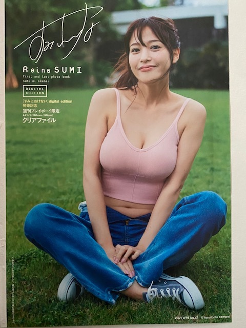 ◆即決◆ 鷲見玲奈 クリアファイル 拍卖