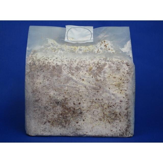 【送料無料】微創研【mother】菌糸ブロック カワラエースCタイプ 粗目 3.6L×2個セット ※商品説明をよくお読みの上、ご注文下さい。拍卖