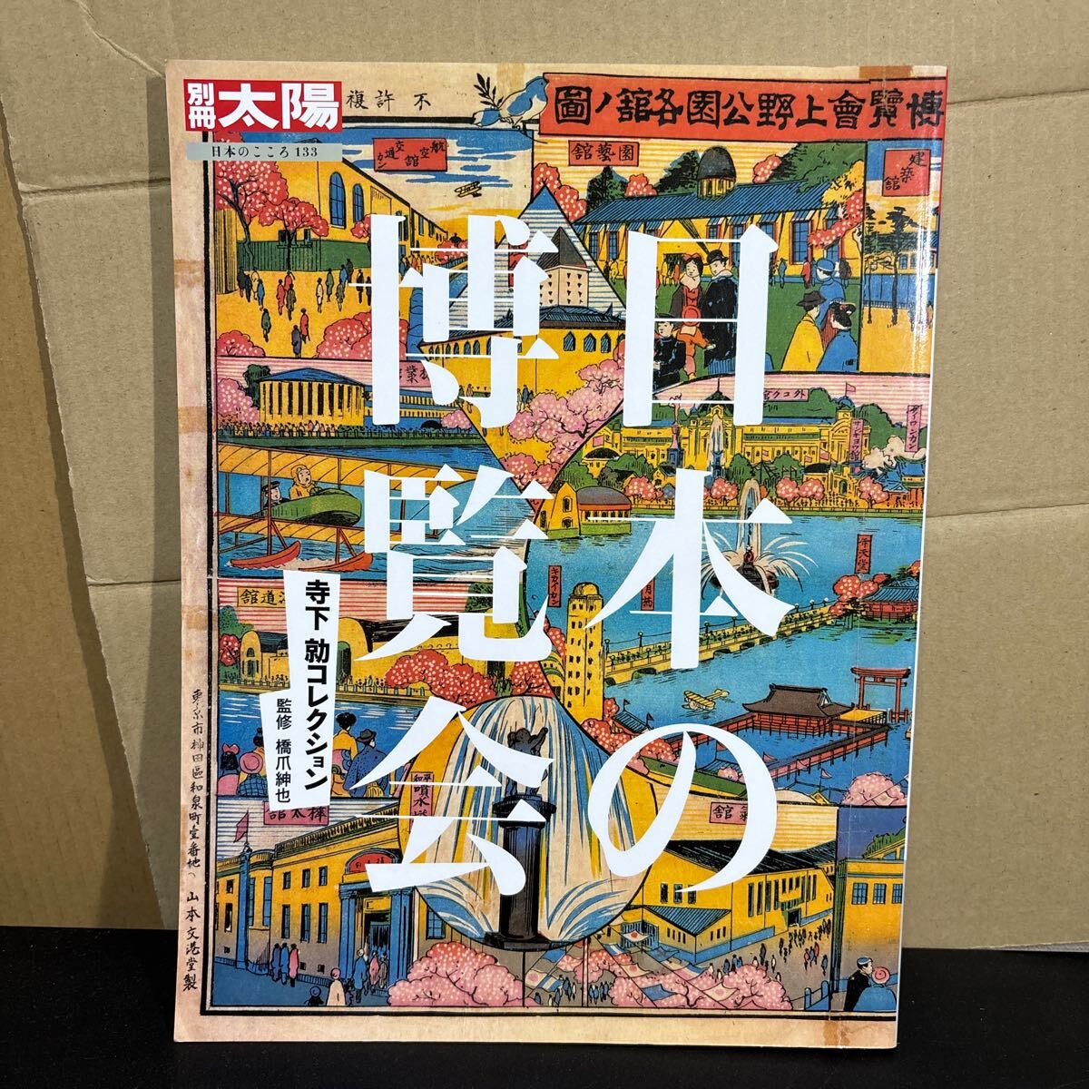 25-6-5『 日本の博覧会: 寺下勍コレクション 』別冊太陽 日本のこころ 133 平凡社 明治時代~1970年大阪万博まで 拍卖
