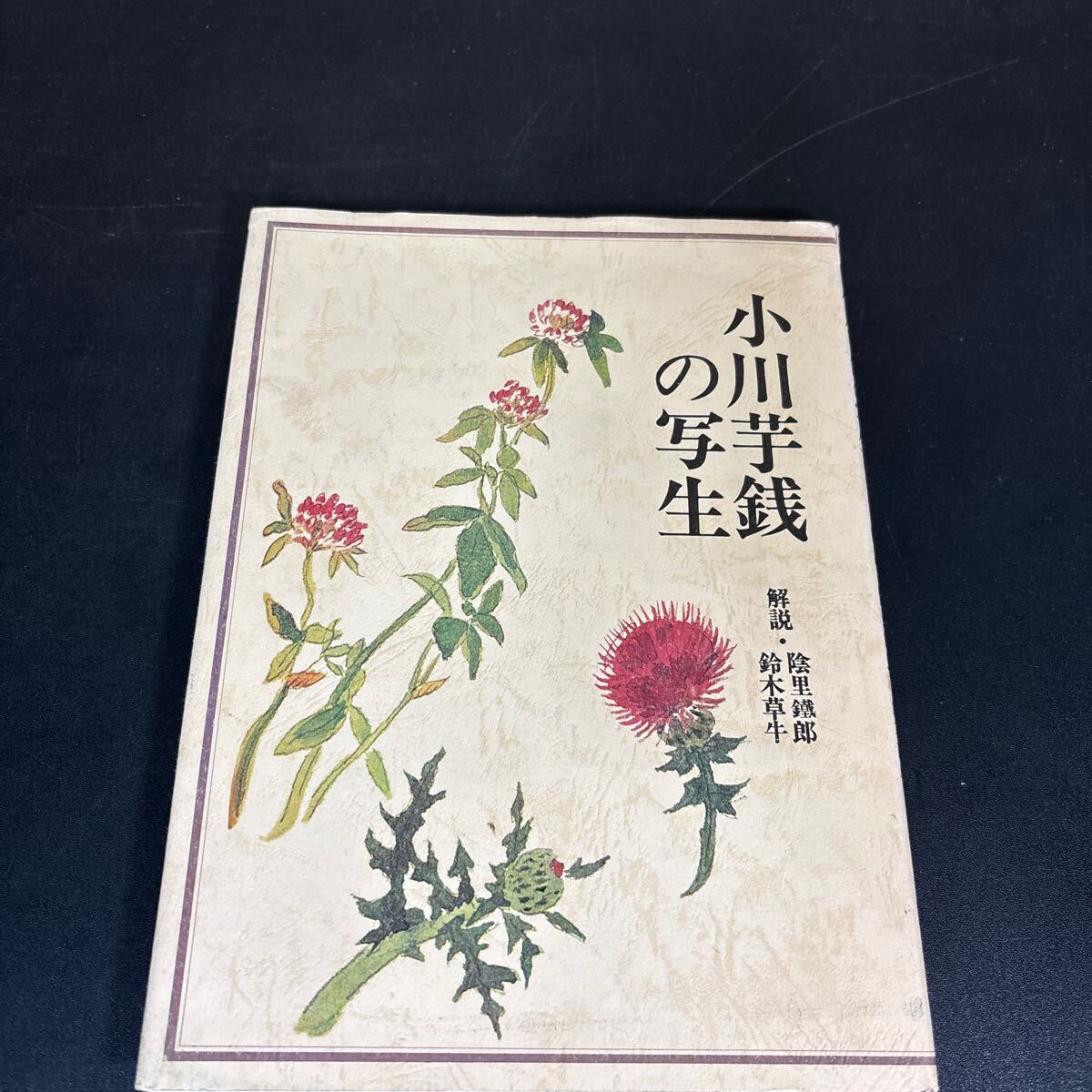 25-6-10『 小川芋銭の写生』小川芋銭 (著), 陰里鉄郎 (著) グラフィック社 1980年拍卖