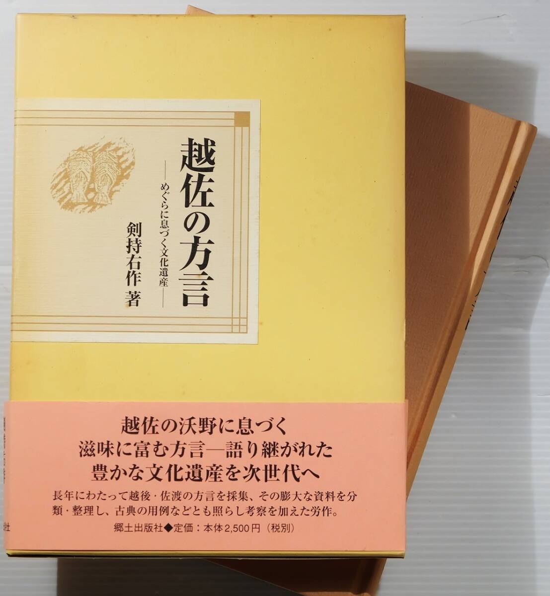 150000新潟 「越佐の方言 めぐらに息づく文化遺産」剣持右作 郷土出版社 A5 117972拍卖